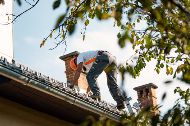 Best Metal Roofing Contractor  in Lake Linden, MI