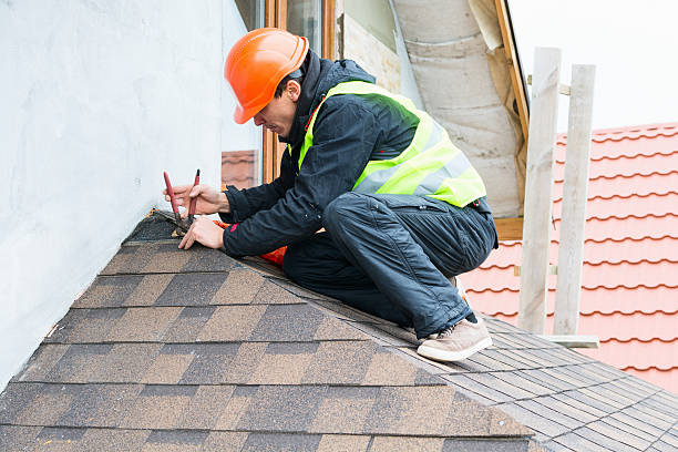 Best Roof Maintenance Services  in Lake Linden, MI